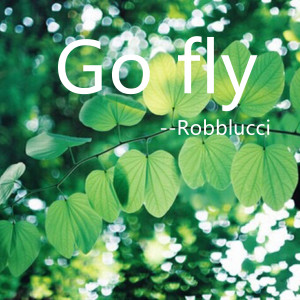 Listen to Go fly song with lyrics from Robblucci