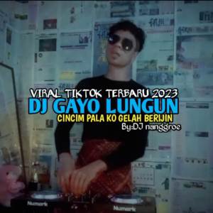 Album DJ GAYO LUNGUN CINCIM PALA KO GELAH BERIJIN - (INS) from Dj nanggroe