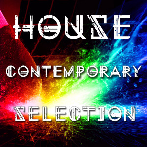 Various的专辑House Contemporary Selection