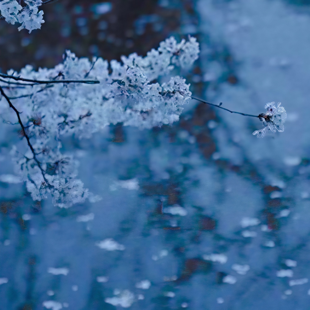seasons