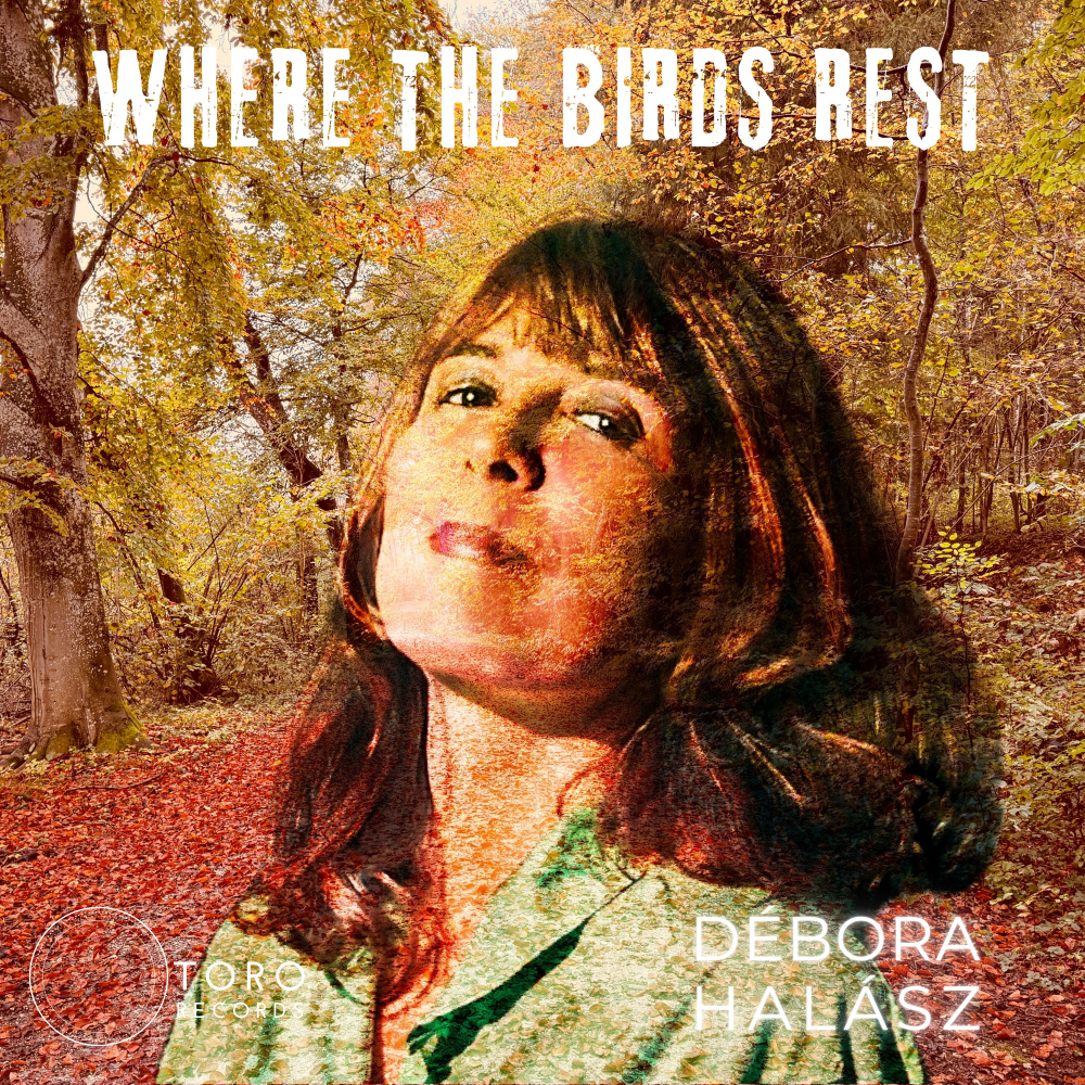 Where the Birds Rest (piano)