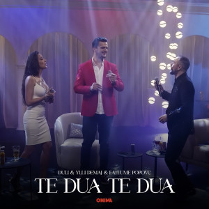 Listen to Te dua te dua song with lyrics from Duli