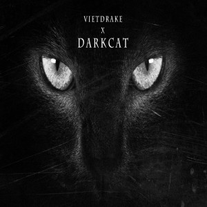 Viet Drake的專輯Dark Cat