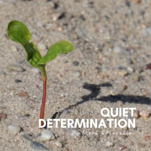 Ambient Relaxation的專輯Quiet Determination