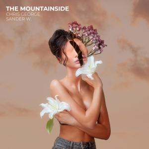 The Mountainside dari Sander W.