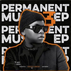 Dlala Thukzin的專輯Permanent Music 3 (Explicit)