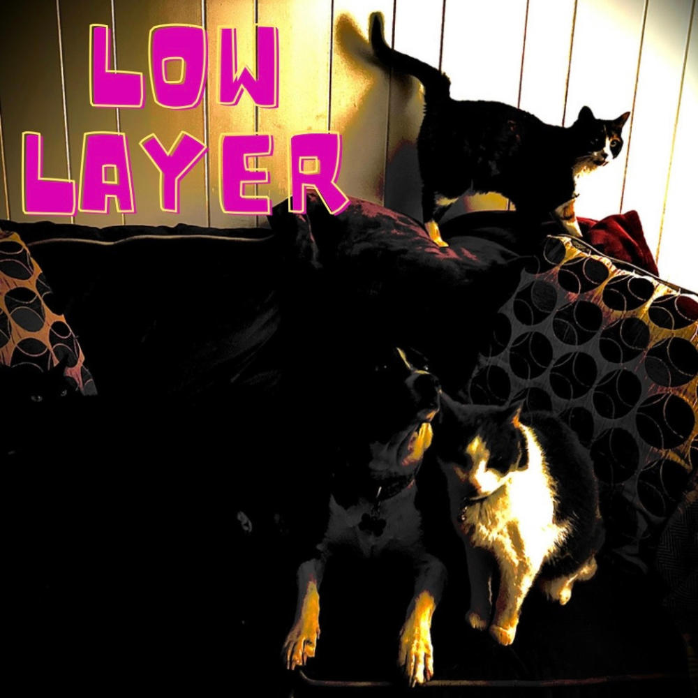 Low Layer