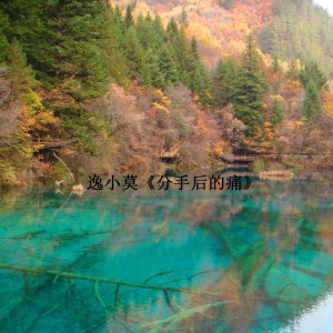 Listen to 不过少了一个你 song with lyrics from 逸小莫