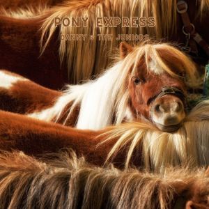 Album Pony Express from Yoko Fujita