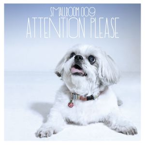 Various Artists的專輯SMALLROOM 009 ATTENTION PLEASE