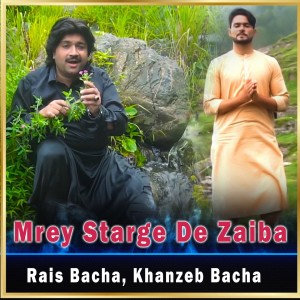 Listen to Mrey Starge De Zaiba song with lyrics from Rais Bacha