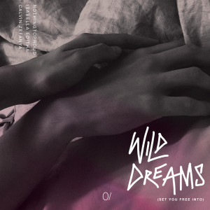 nothingtoproud的專輯Wild Dreams (Set You Free Into)
