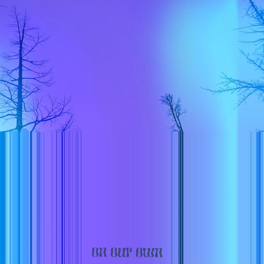 On Our Own (feat. Diego Flores)