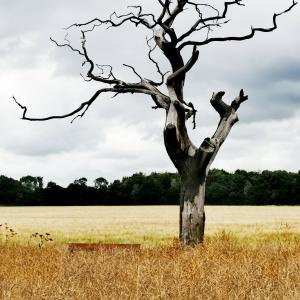 收聽PHJ Piano Solos的Lord and Father, King for ever歌詞歌曲