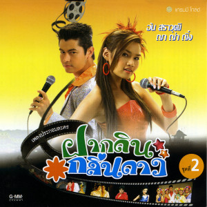 อัลบัม เพลงประกอบละคร ฝากดินกลิ่นดาว 2 ศิลปิน รวมศิลปินแกรมมี่