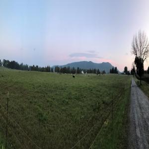 Dengarkan Morning Trepidation lagu dari blue sun chasing dengan lirik