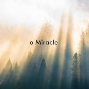 Dengarkan lagu A Miracle nyanyian Albert Ammons dengan lirik