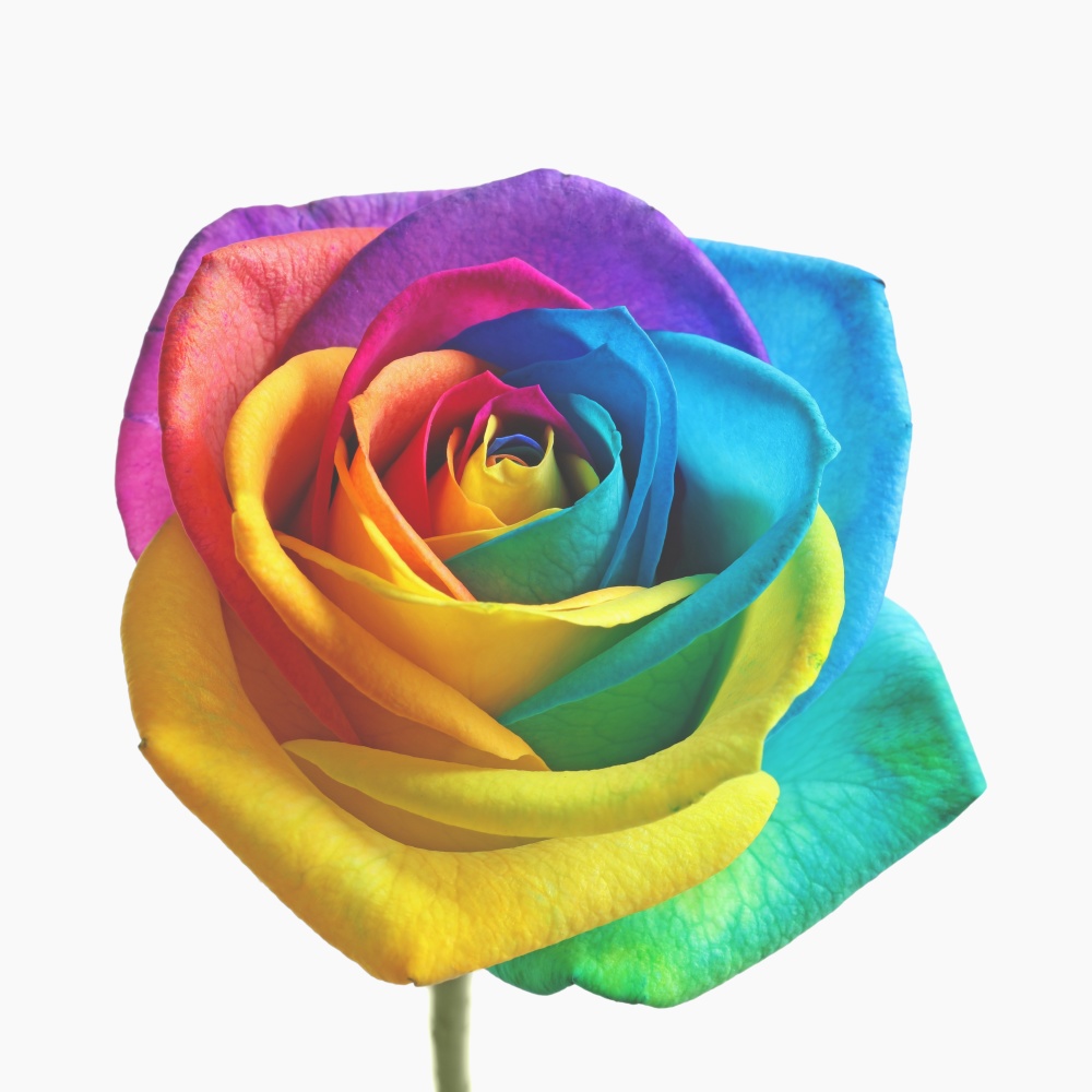 Somewhere over the Rainbow