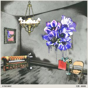 Album 花园  : ANEMONE from PEAXE MARKET