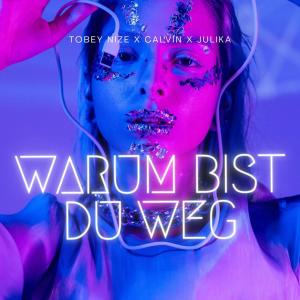 TOBEY NIZE的專輯Warum bist du weg