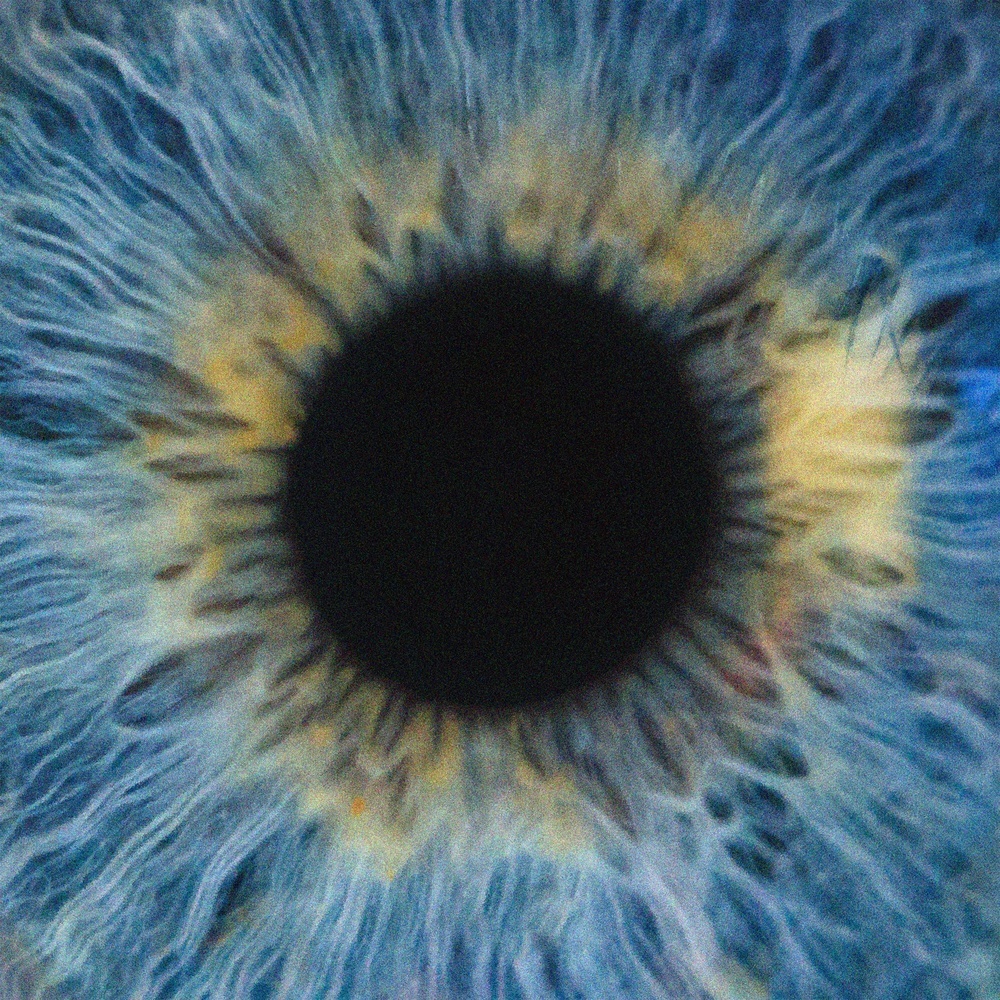Glimpse of Us (Single Version)