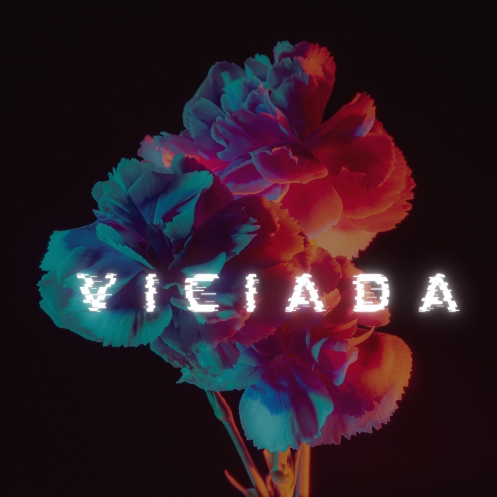 Viciada (Explicit)