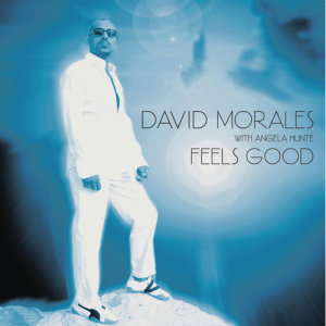 收聽David Morales的Feels Good (StoneBridge Dub Mix) (Stonebridge Dub Mix)歌詞歌曲