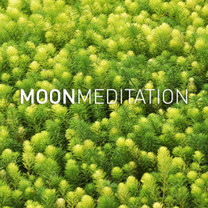 ดาวน์โหลดและฟังเพลง I Feel Like Flying พร้อมเนื้อเพลงจาก Moon Tunes