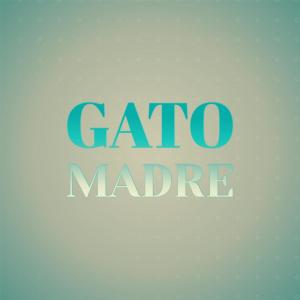 Listen to Their Gyre song with lyrics from Shee Caty