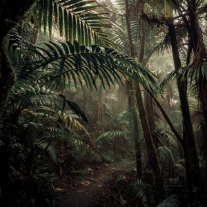 Listen to Paseo song with lyrics from SMUV
