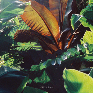 Dengarkan Chiapas lagu dari Mario Cabrera dengan lirik