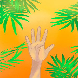 Album Palms oleh Jk Beatbook