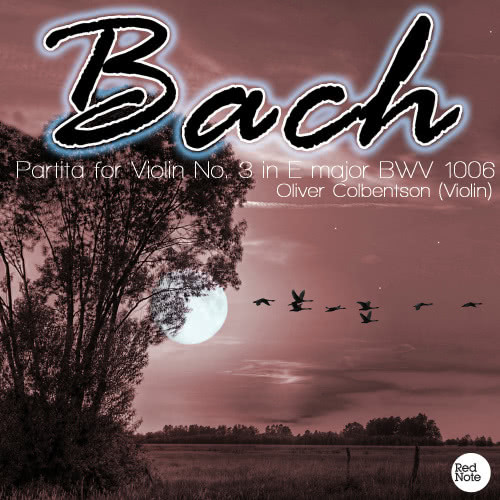 Partita for Violin No. 3 in E major, BWV 1006: II. Loure