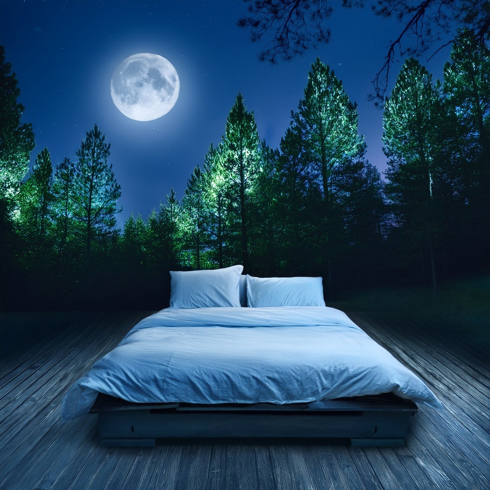 Sleep To The Beat
