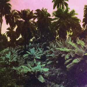 ดาวน์โหลดและฟังเพลง Not Your Heart พร้อมเนื้อเพลงจาก The Dead Sound