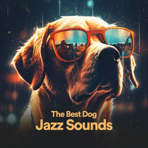 Album The Best Dog Jazz Sounds oleh Jazz Concentration Academy