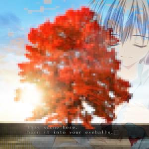 February的專輯Red Maple