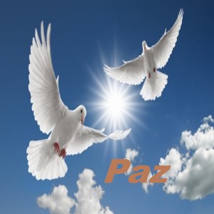 收聽Para Tener Paz的Taichí Tranquilo歌詞歌曲