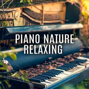 Piano Suave Relajante的專輯Piano Nature Relaxing