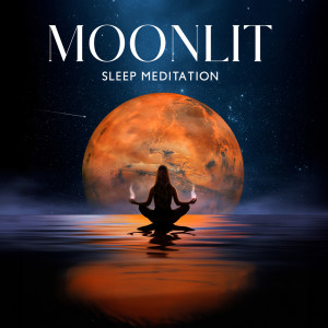 Album Moonlit Sleep Meditation oleh Meditation Music Therapy