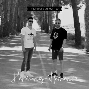 Album Punto y Aparte from Hermanos Flamenco