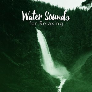 The Relaxing Sounds of Water的專輯Water Sounds for Relaxing