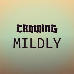 Various Artists的專輯Crowing Mildly