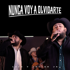 Listen to Nunca Voy a Olvidarte song with lyrics from Luis y Julián Jr