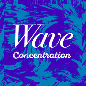อัลบัม Wave Concentration ศิลปิน Beach Waves Specialists