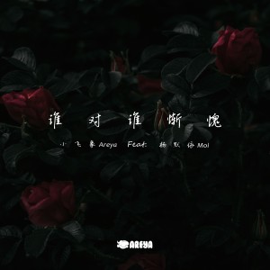 Album 谁对谁惭愧 from 张雅婷