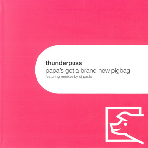 收聽Thunderpuss的Papa's Got a Brand New Pigbag (Harris + Cox Mix)歌詞歌曲