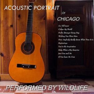 ดาวน์โหลดและฟังเพลง If You Leave Me Now พร้อมเนื้อเพลงจาก Wildlife