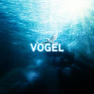 收聽Ziry的Vogel (feat. Ish) (Explicit)歌詞歌曲