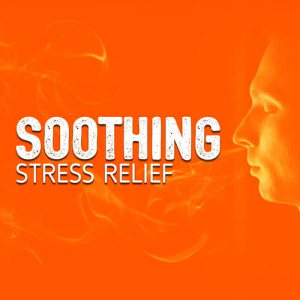 ดาวน์โหลดและฟังเพลง Ice Melt พร้อมเนื้อเพลงจาก Stress Relief